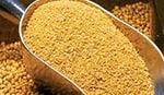 Brazilian Soybean Meal